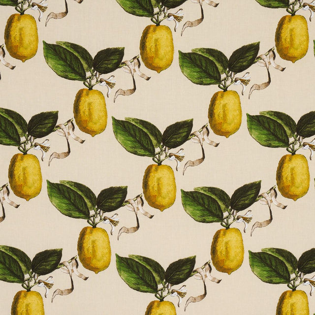 Schumacher Le Citron Natural Fabric