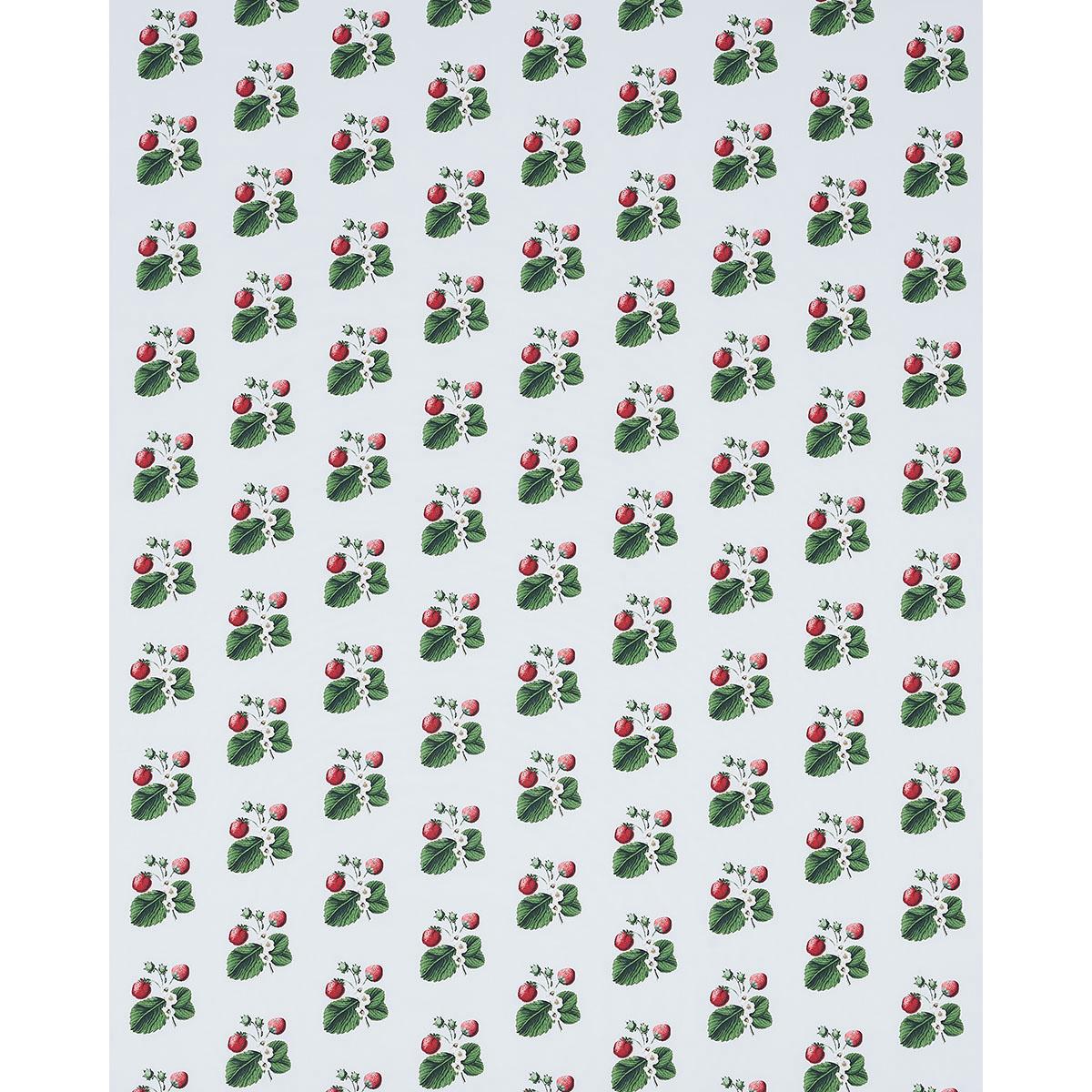 Schumacher Strawberry Hill Sky Fabric