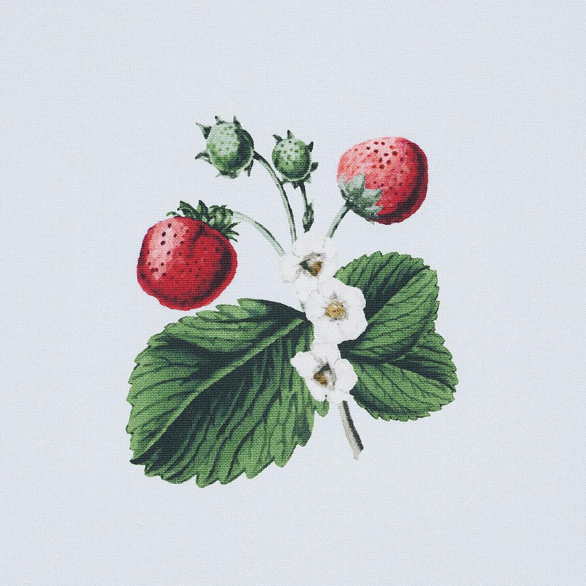 Schumacher Strawberry Hill Sky Fabric