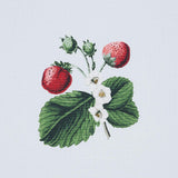 Schumacher Strawberry Hill Sky Fabric