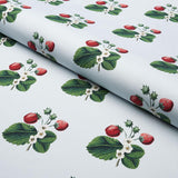 Schumacher Strawberry Hill Sky Fabric