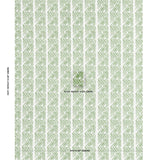 Schumacher Venetian Zig Zag Block Print Green Fabric