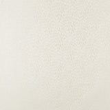 Kravet BASICS 34412 1 Fabric