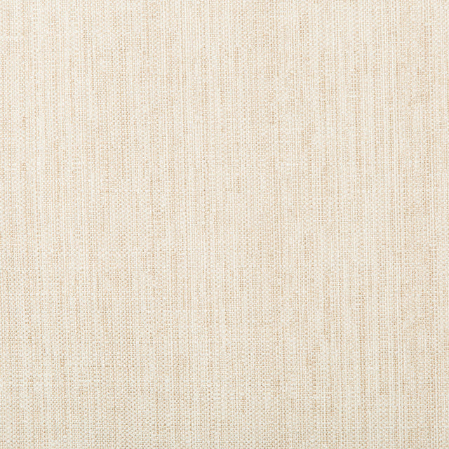 Kravet BASICS 4665 1 Drapery Fabric