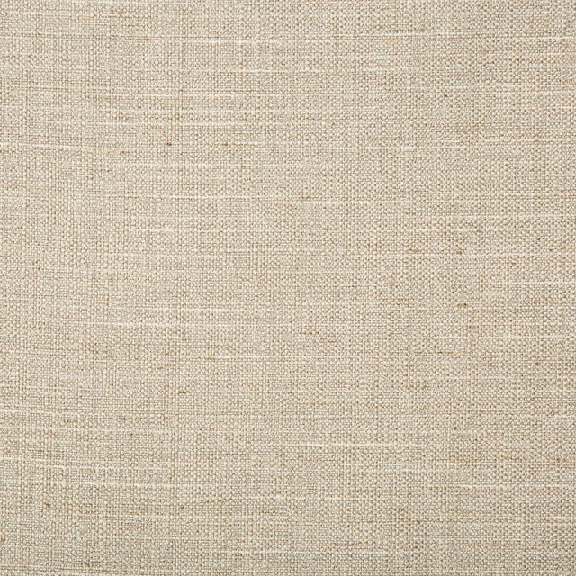 Kravet BASICS 4665 106 Drapery Fabric