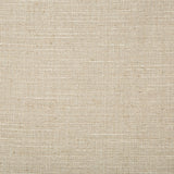 Kravet BASICS 4665 106 Drapery Fabric