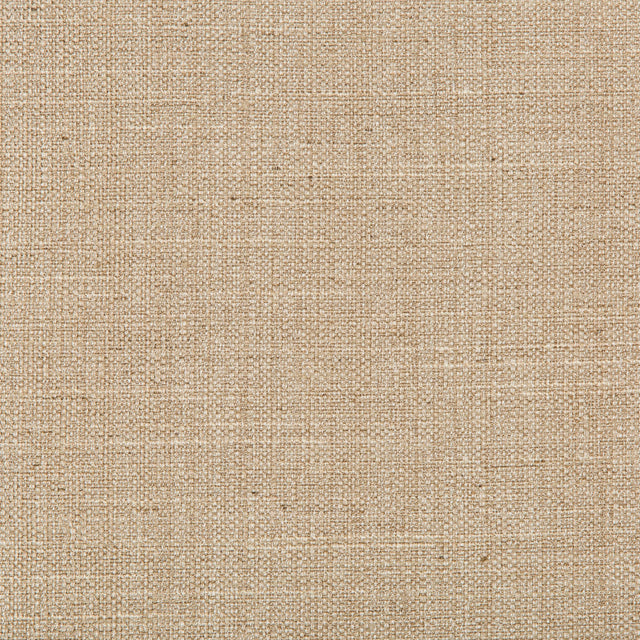 Kravet BASICS 4665 16 Drapery Fabric