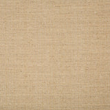 Kravet BASICS 4665 1616 Drapery Fabric
