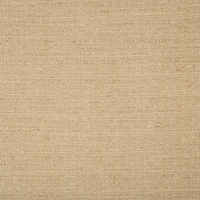 Kravet BASICS 4665 1616 Drapery Fabric