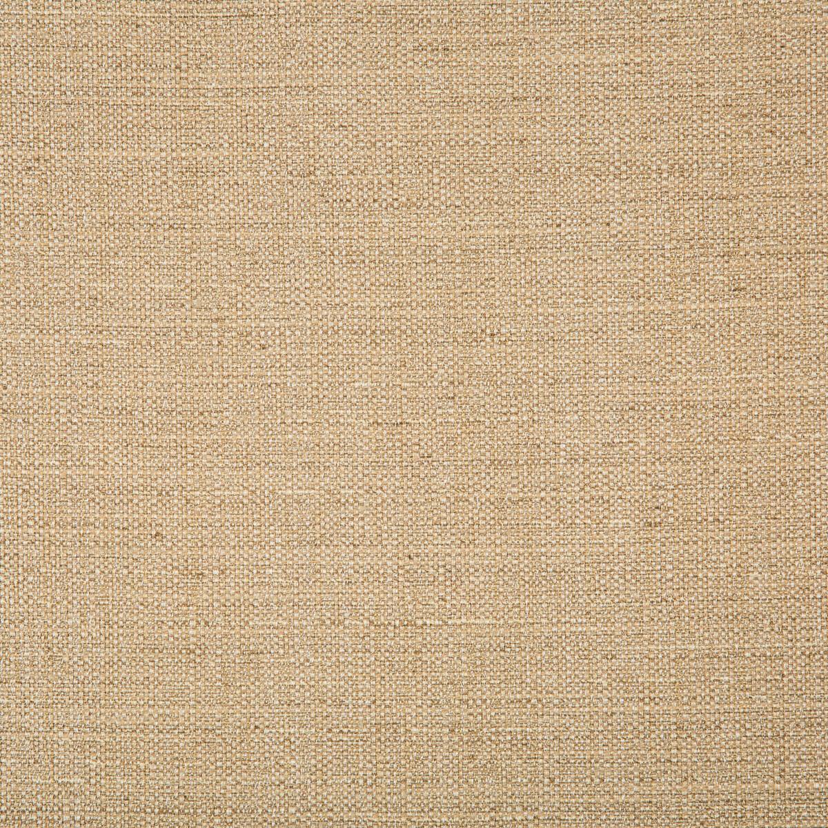 Kravet 4665 1616 Fabric