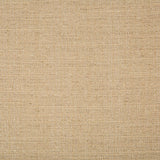 Kravet 4665 1616 Fabric