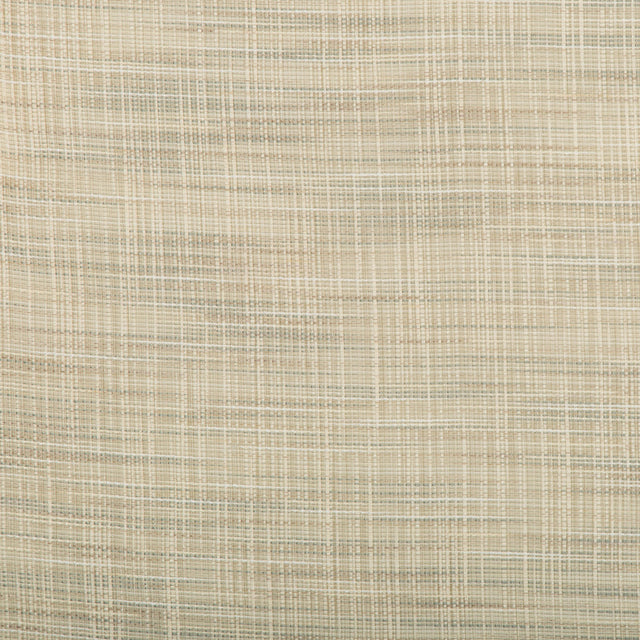 Kravet BASICS 4666 135 Drapery Fabric