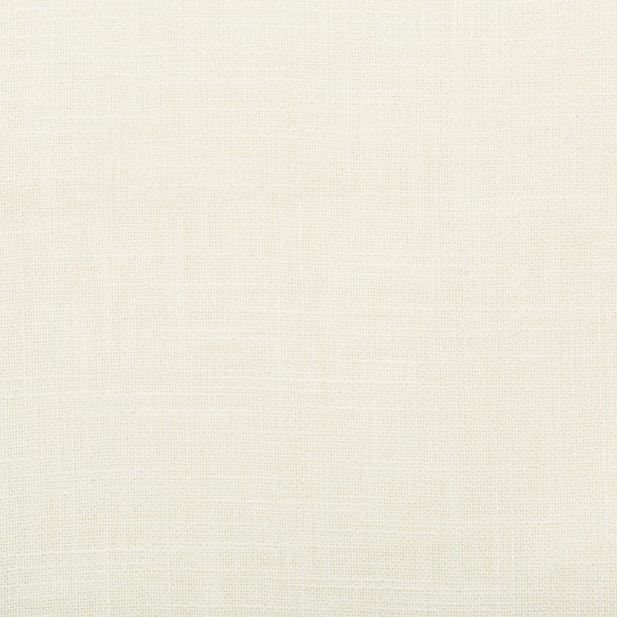Kravet 4668 101 Fabric