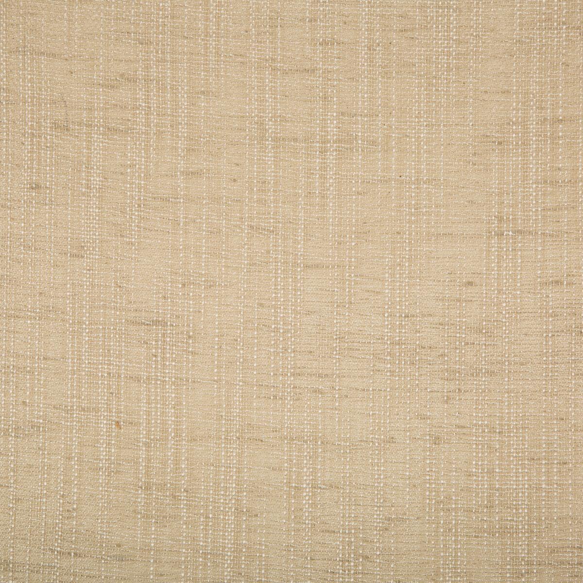 Kravet 4669 116 Fabric