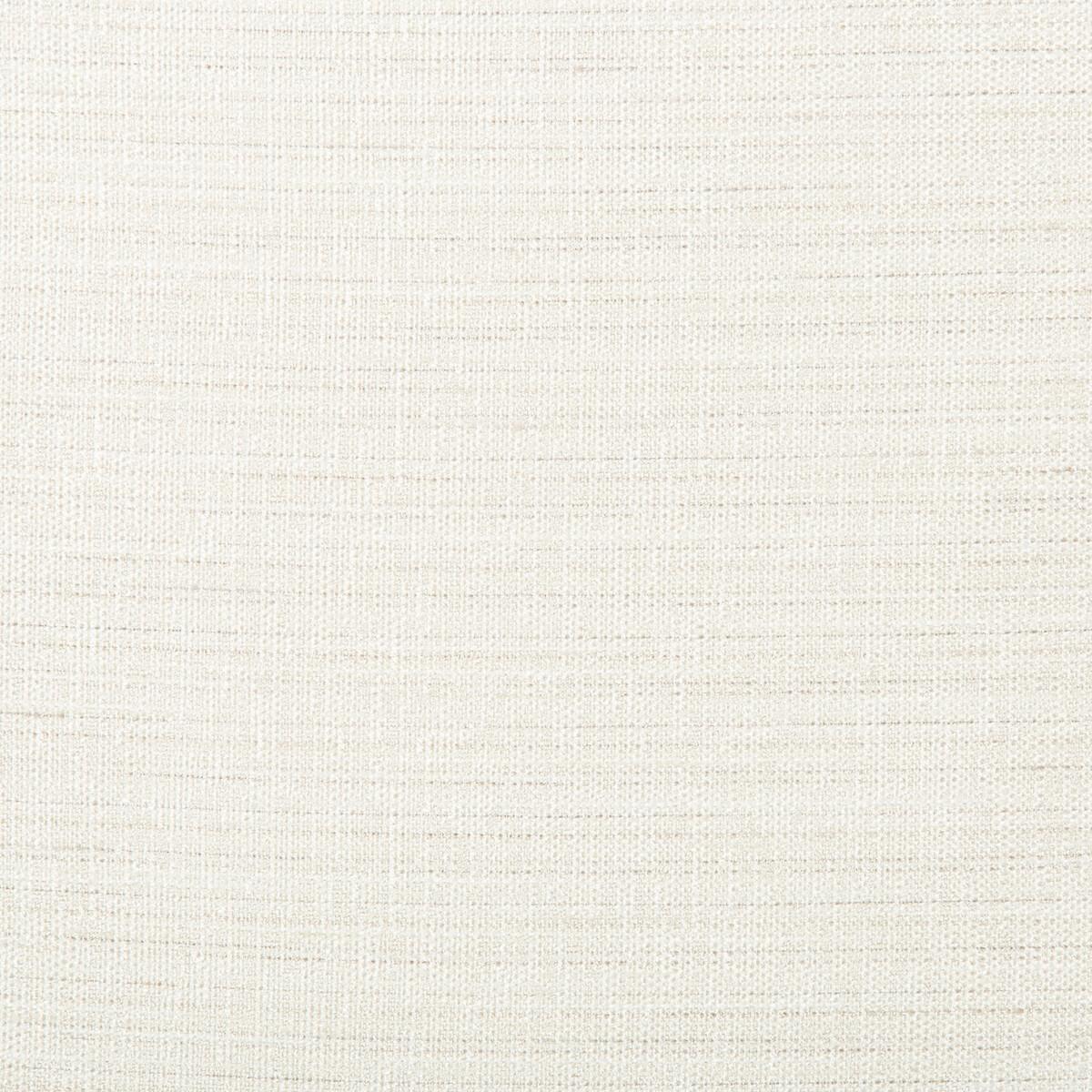 Kravet 4673 101 Fabric