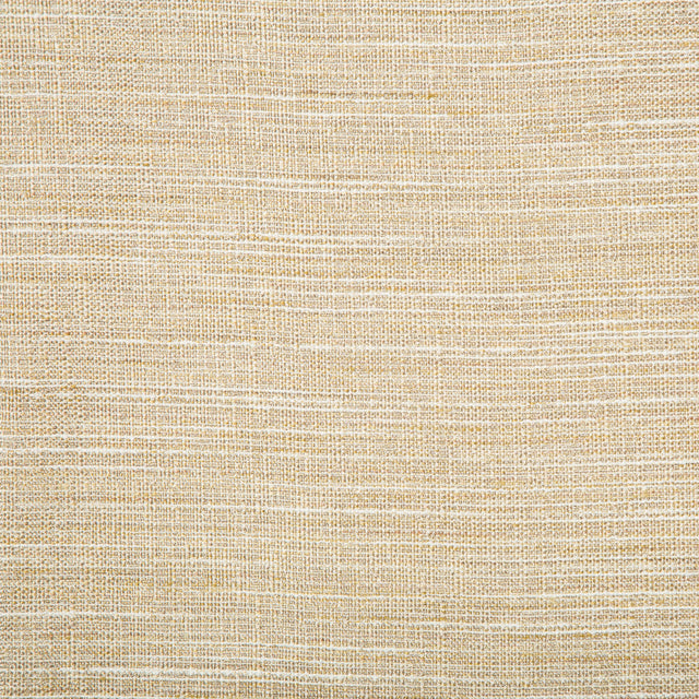 Kravet BASICS 4673 416 Drapery Fabric