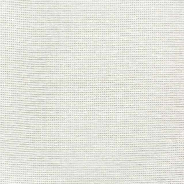 Kravet BASICS 4675 1 Drapery Fabric