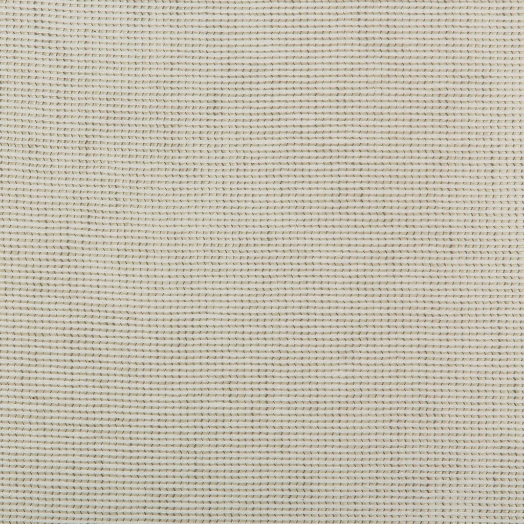 Kravet KRAVET BASICS 4675-111 Fabric
