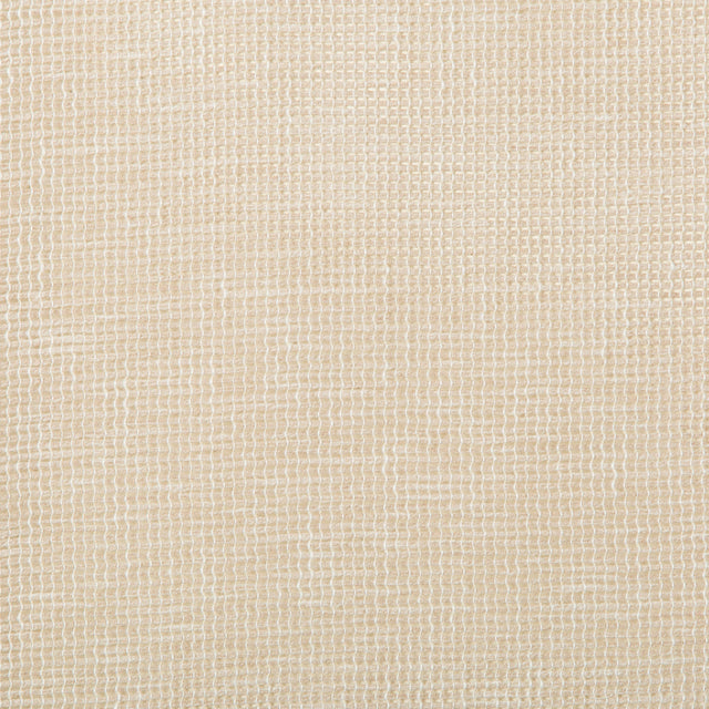 Kravet BASICS 4675 16 Drapery Fabric