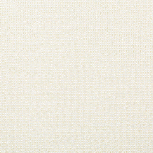 Kravet BASICS 4676 1 Drapery Fabric