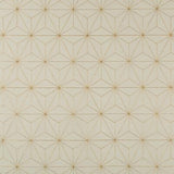 Kravet BASICS 4697 14 Drapery Fabric