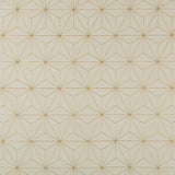 Kravet 4697 14 Fabric