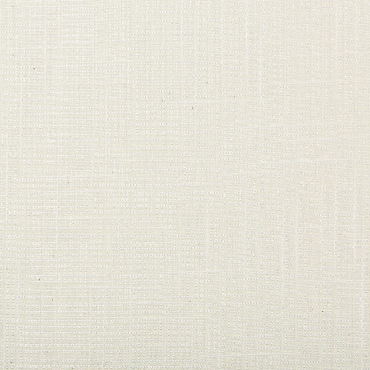 Kravet 4725 101 Fabric