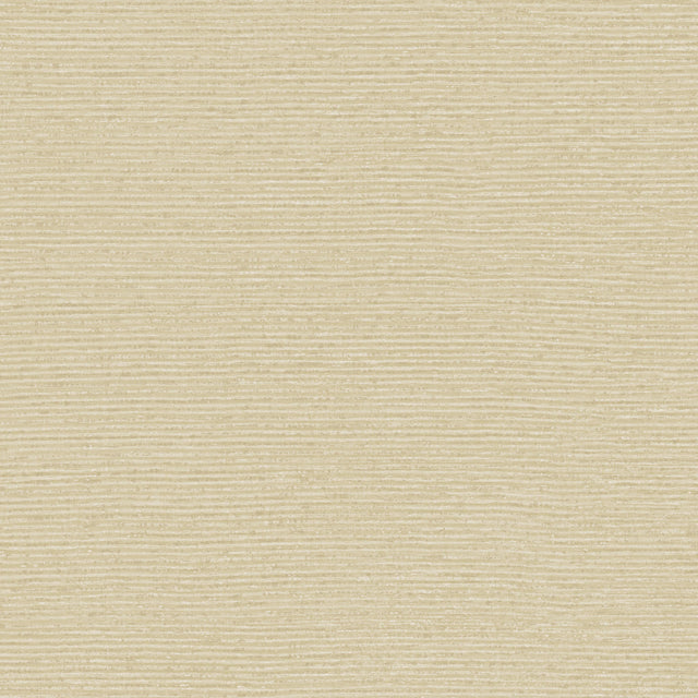 Winfield Thybony RADIUS CREME Wallpaper