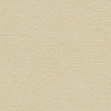 Winfield Thybony RADIUS CREME Wallpaper