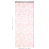 Schumacher Bird & Bee Pink Wallpaper