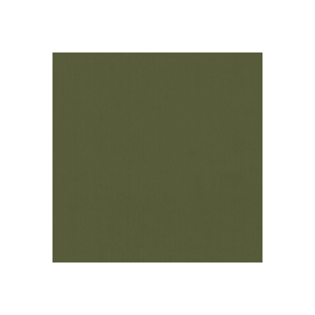 Kravet 35916 3 Fabric