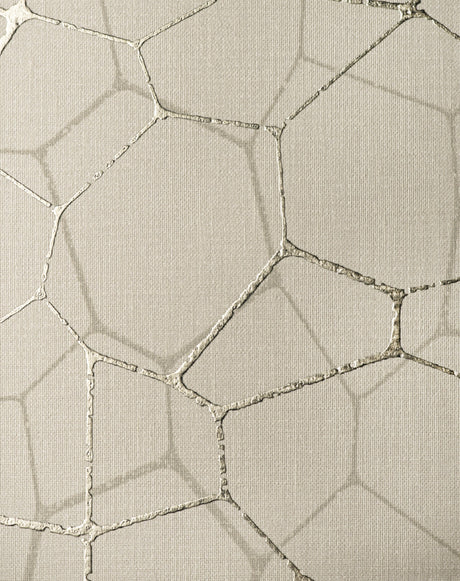 Winfield Thybony VILLASANA ARCTIC Wallpaper