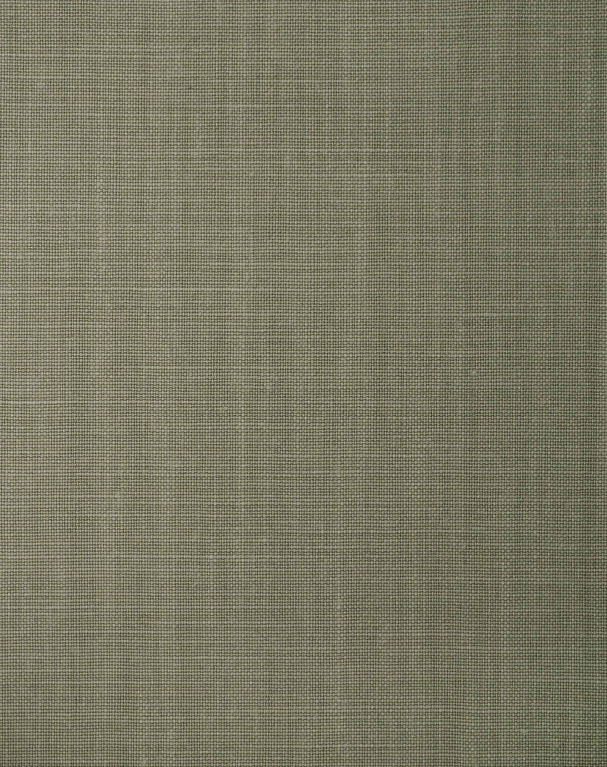 Winfield Thybony BALEN OLIVENE Wallpaper