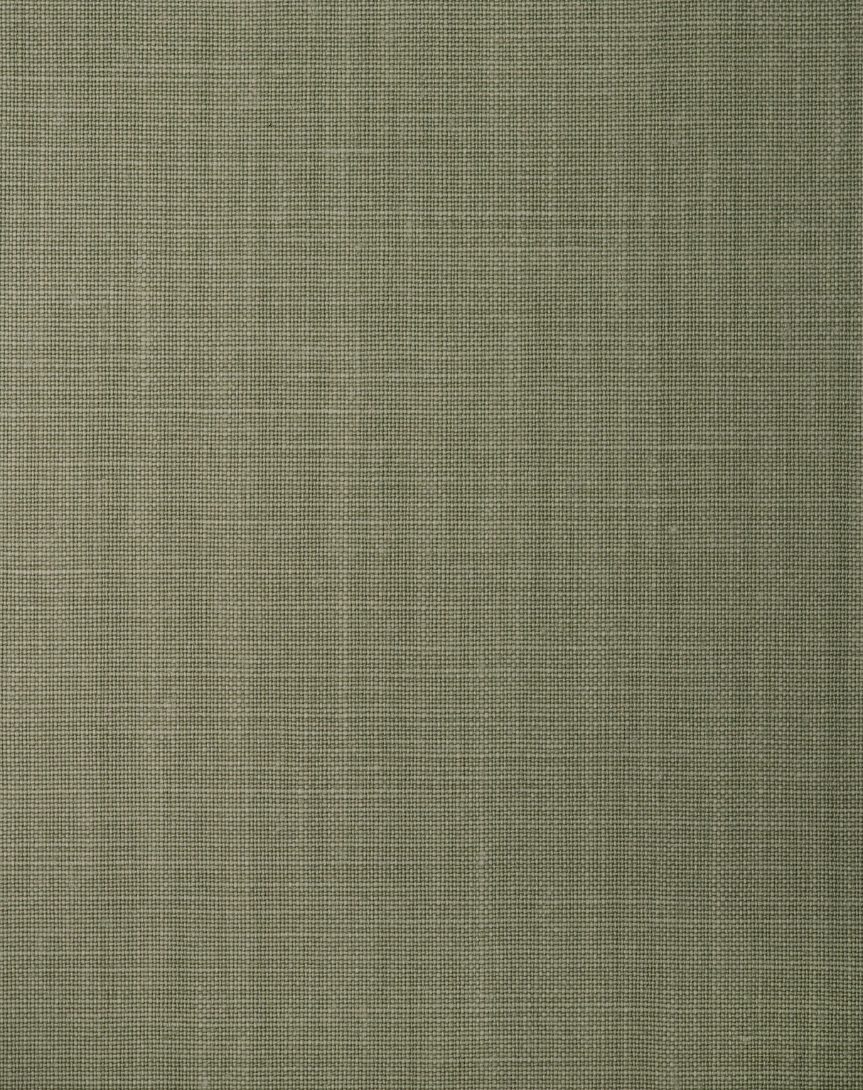 Winfield Thybony BALEN OLIVENE Wallpaper