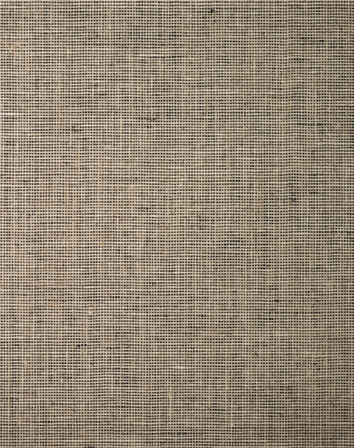 Winfield Thybony CANOVA TWEED Wallpaper