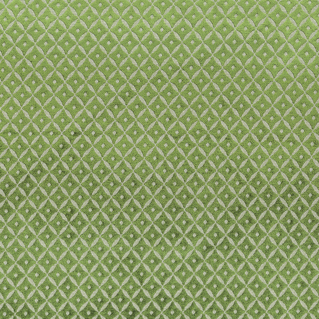 Stout PACIFIC CHIVE Fabric