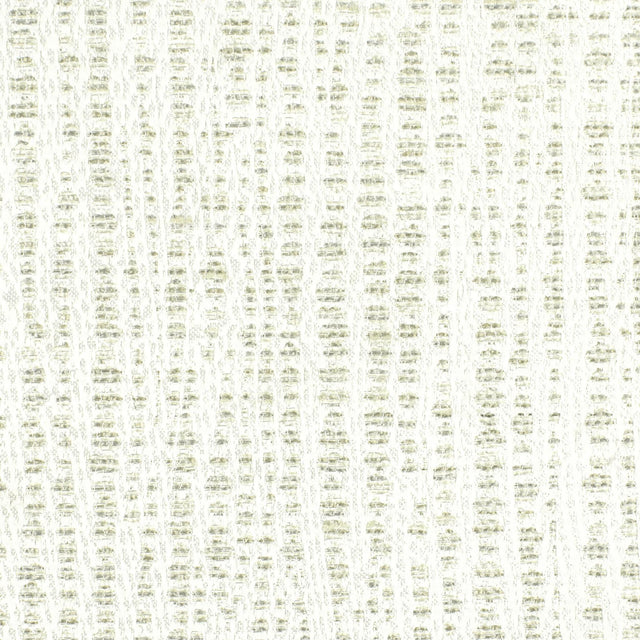 Stout SENSATIONAL BIRCH Fabric
