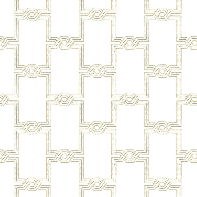Stout CIMATTI STRAW Fabric