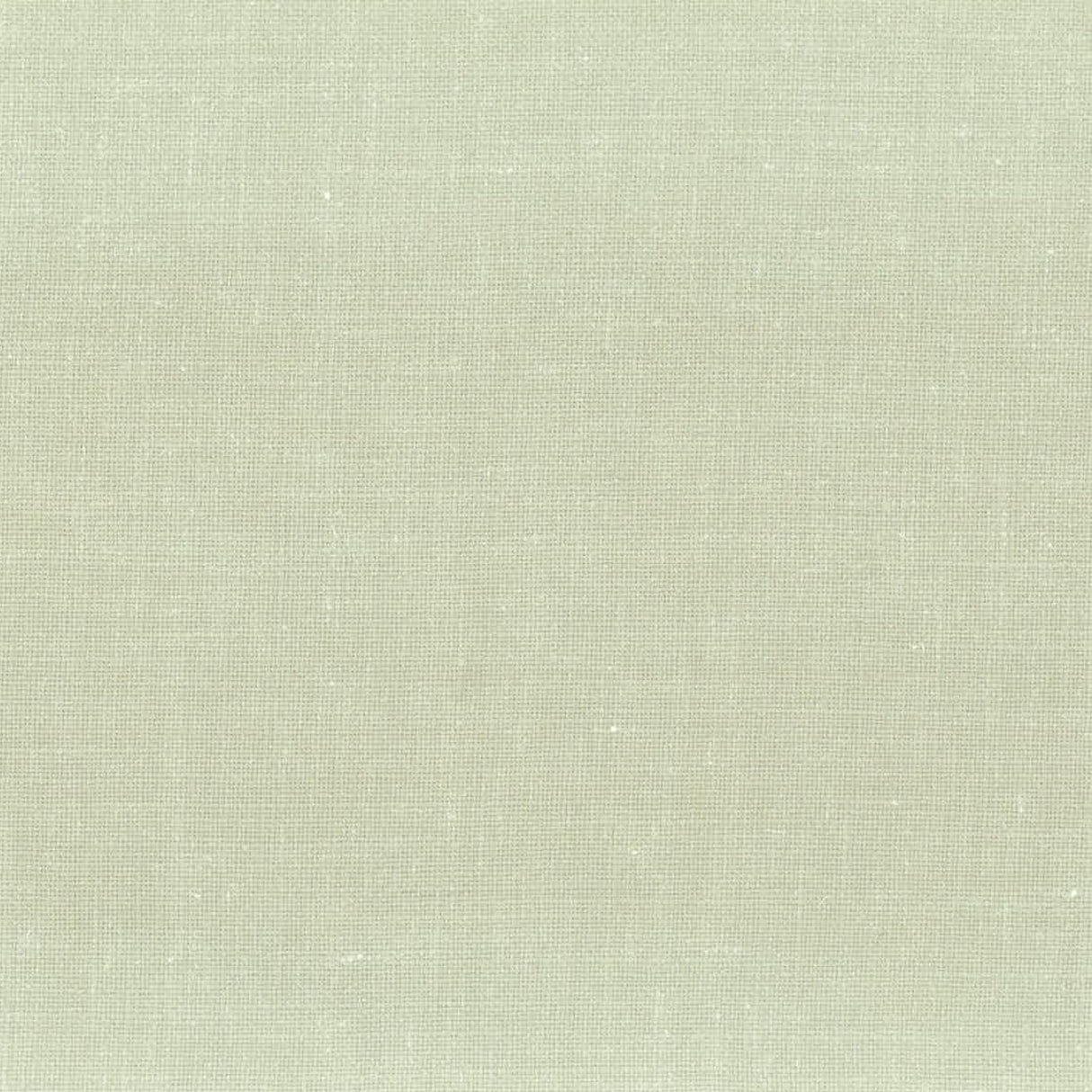Stout AMPLE CEMENT Fabric