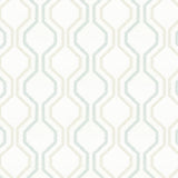 Stout AGILE GLACIER Fabric