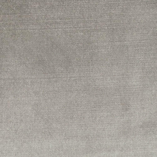 Stout BELGIUM PLATINUM Fabric
