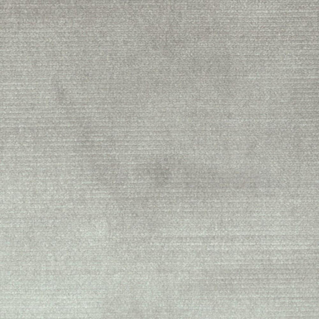 Stout BELGIUM SPRAY Fabric