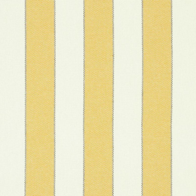 Schumacher Blumont Stripe Indoor/Outdoor Yellow Fabric