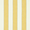 Schumacher Blumont Stripe Indoor/Outdoor Yellow Fabric
