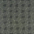 Schumacher Alma Indoor/Outdoor Carbon Fabric