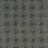 Schumacher Alma Indoor/Outdoor Carbon Fabric