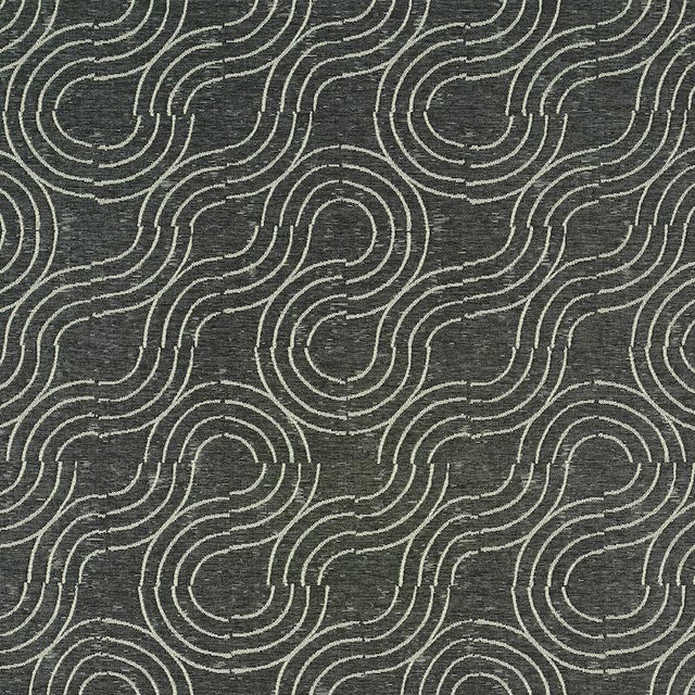 Schumacher Alma Indoor/Outdoor Carbon Fabric
