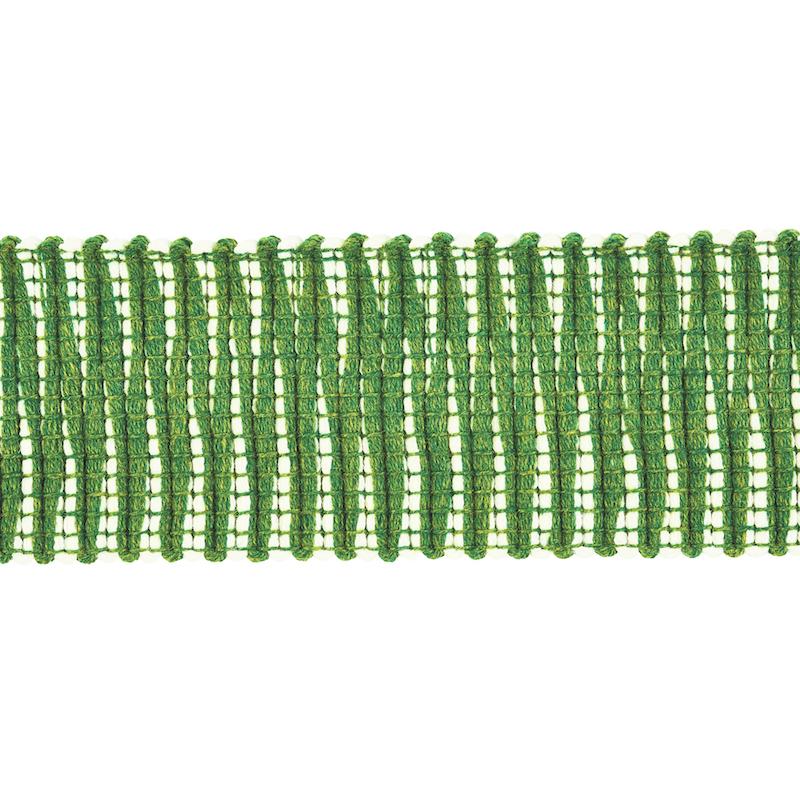 Schumacher Pierce Tape Indoor/Outdoor Green Trim