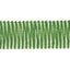 Schumacher Pierce Tape Indoor/Outdoor Green Trim