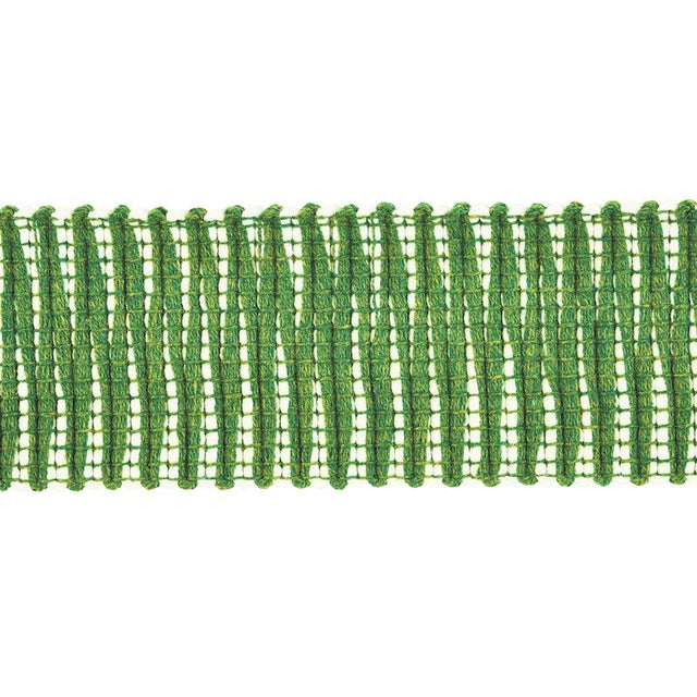 Schumacher Pierce Tape Indoor/Outdoor Green Trim